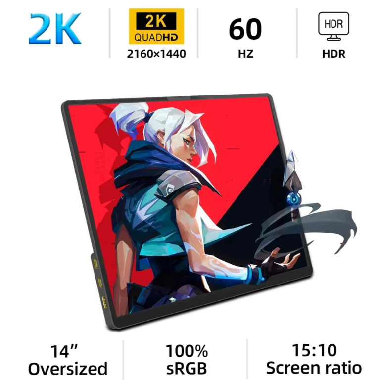 monitor externo
